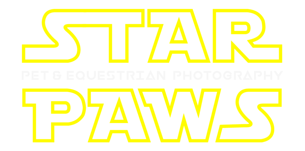 star-paws-photo-color-logo